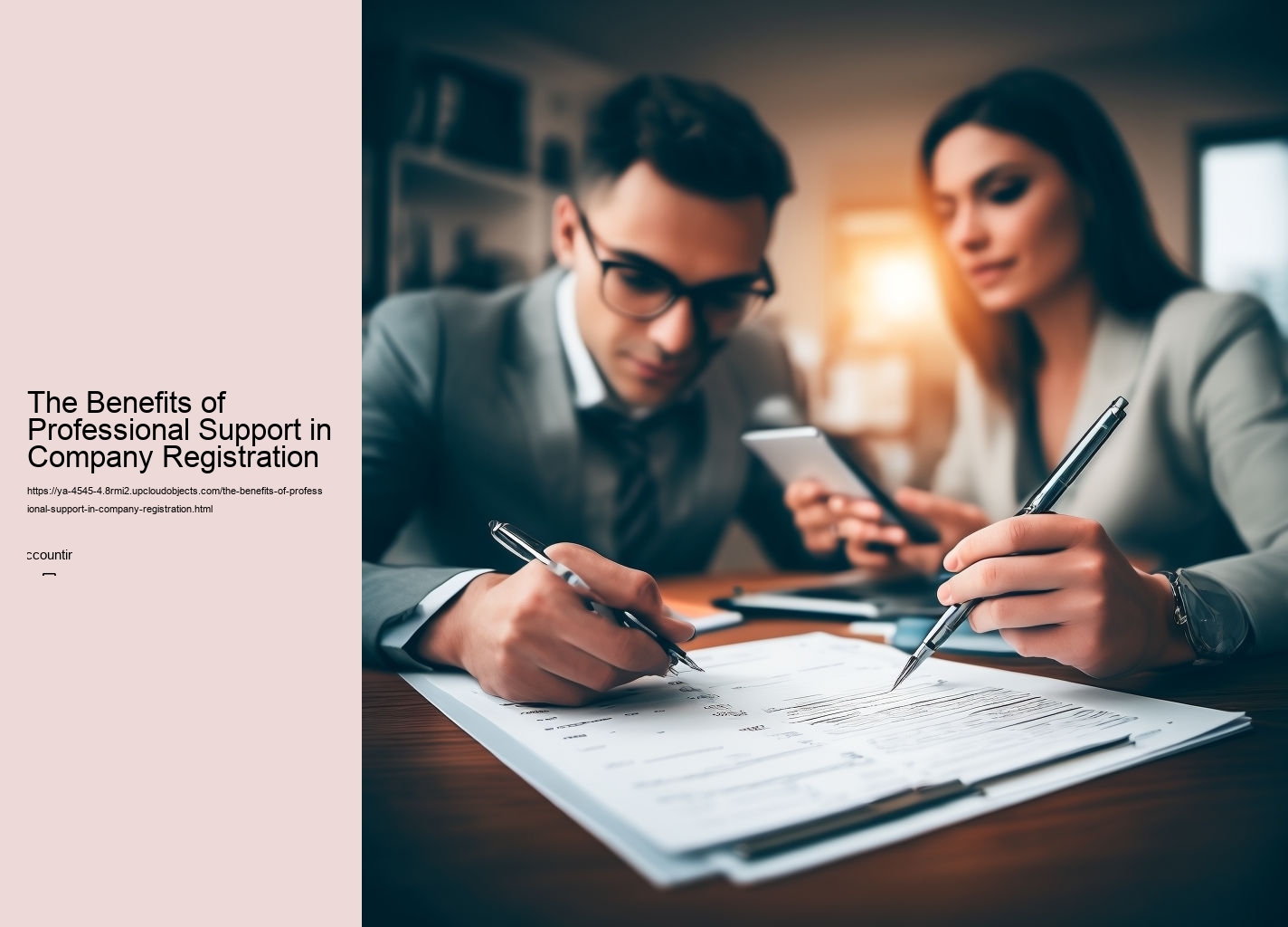 The Benefits of Professional Support in Company Registration